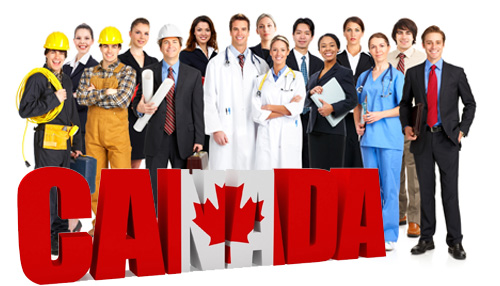 5 شغل پر درآمد در کانادا